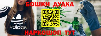 гидра Пенза