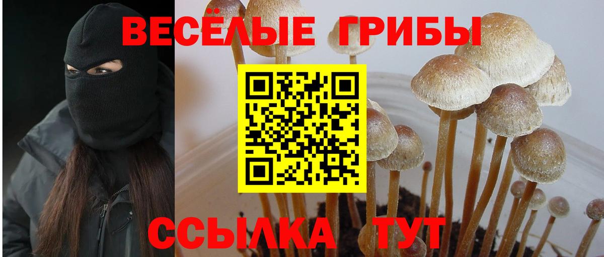 Галлюциногенные грибы прущие грибы Сыктывкар
