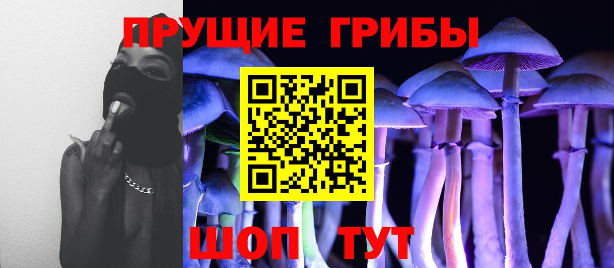 Псилоцибиновые грибы Psilocybine cubensis  Вход с VPN  Сыктывкар 